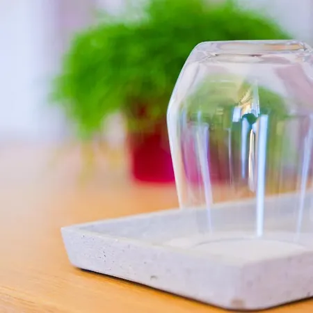 瑞特莫拉维克膳食公寓 3* 塞瓦尔兴