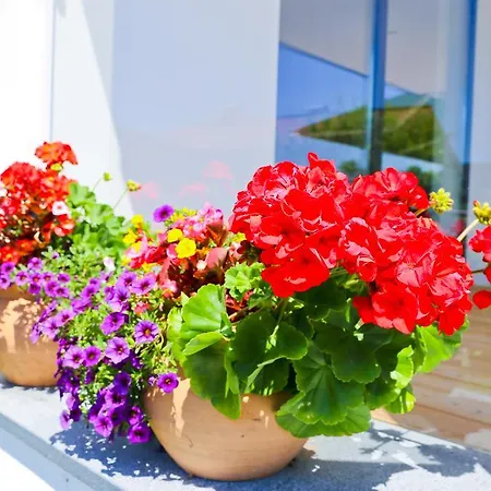 Reiter-moravec 3* Seewalchen