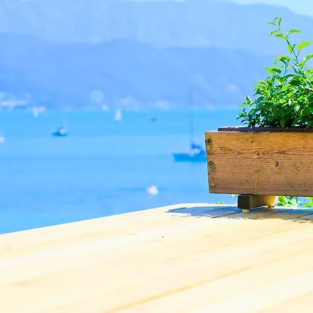 Reiter-moravec Πανσιόν Seewalchen