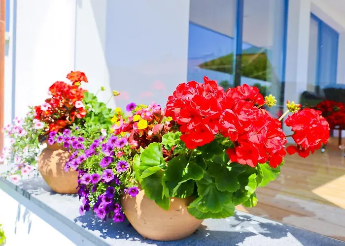 Reiter-moravec 3* Seewalchen