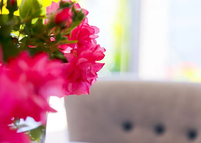 Reiter-moravec Πανσιόν Seewalchen