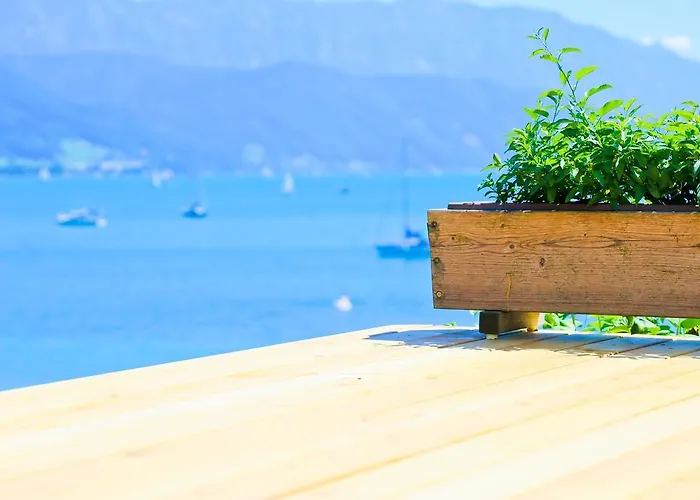 瑞特莫拉维克膳食公寓 招待所 塞瓦尔兴