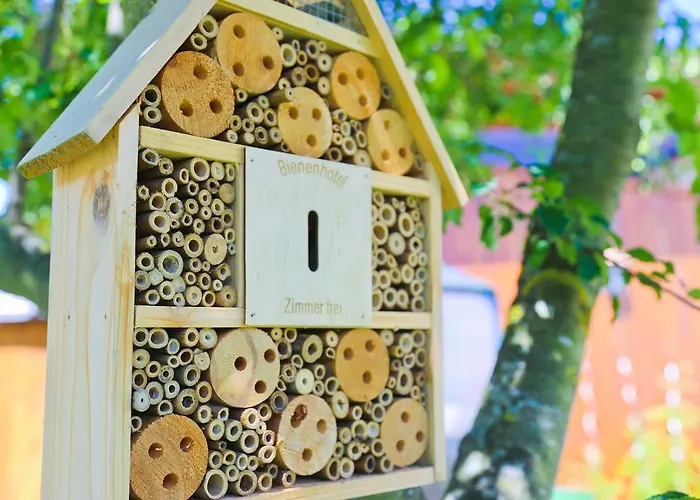 Konukevi Reiter-moravec